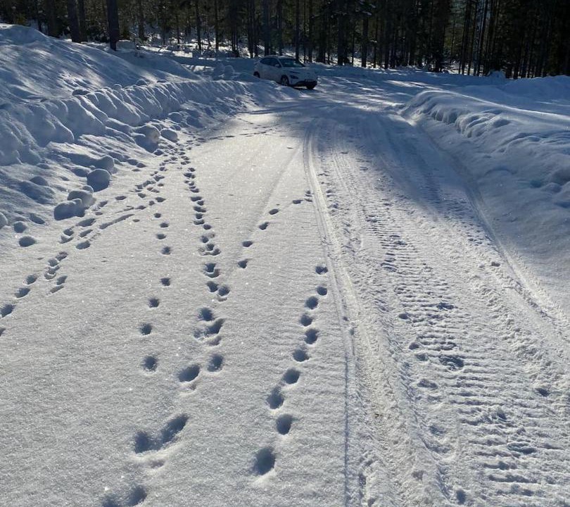 Photo of Others in Alvdalen