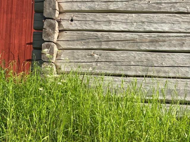 Photo of Others in Alvdalen