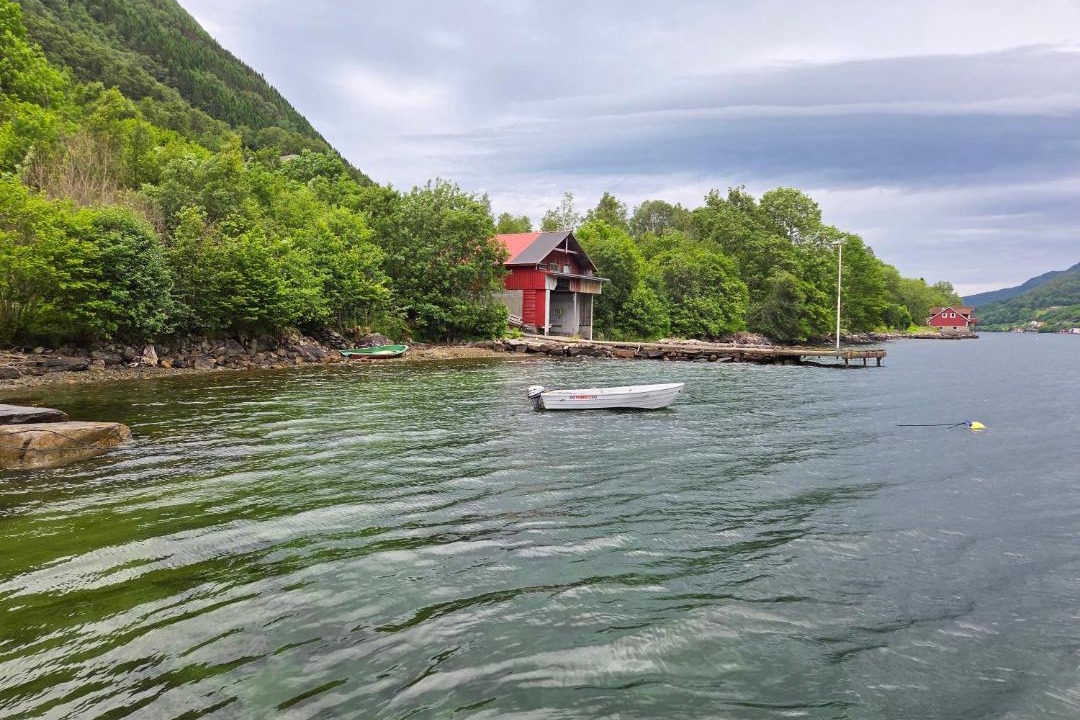 Photo of Others in Vindafjord