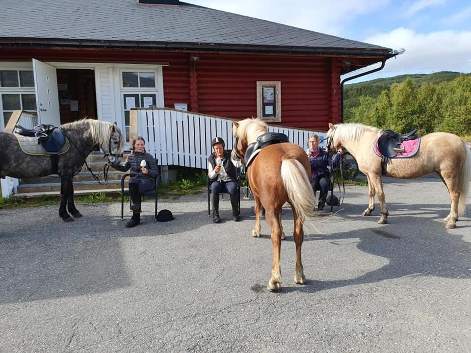 Photo of Others in Gratangen