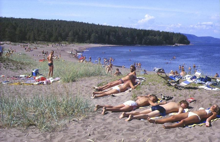 Photo of Others in Mjallom
