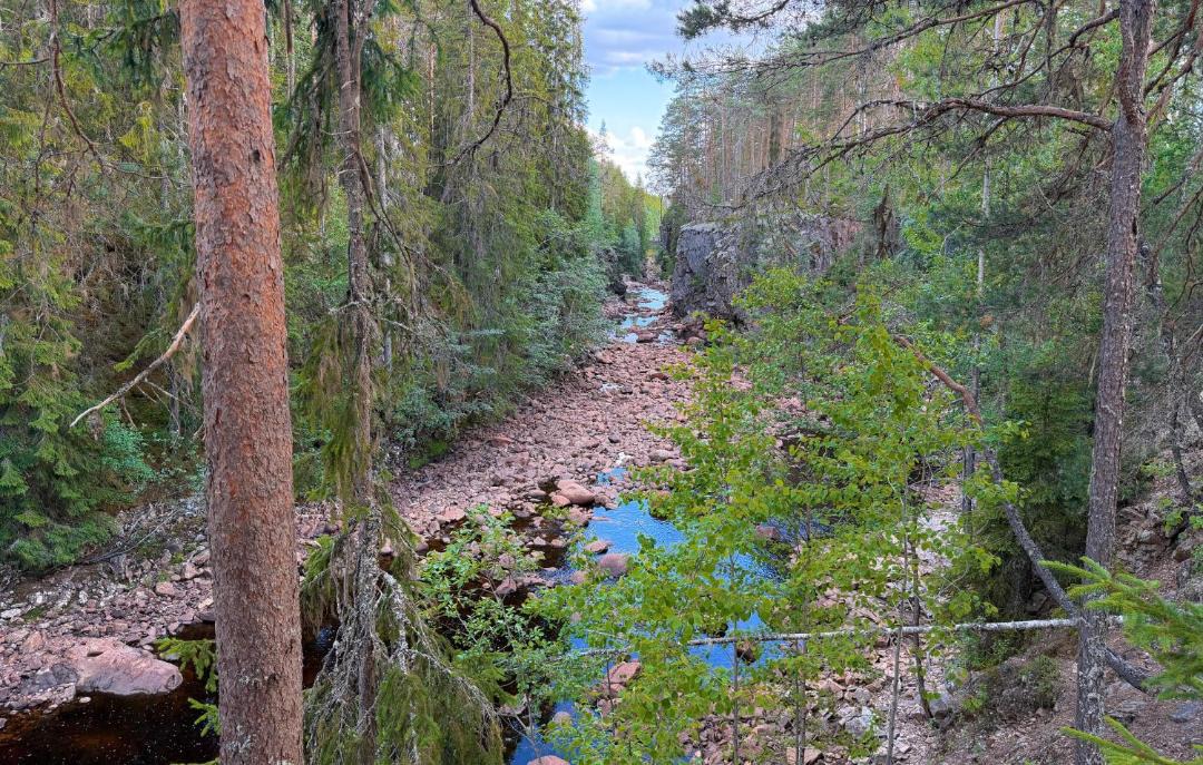 Photo of Others in Hagfors Municipality