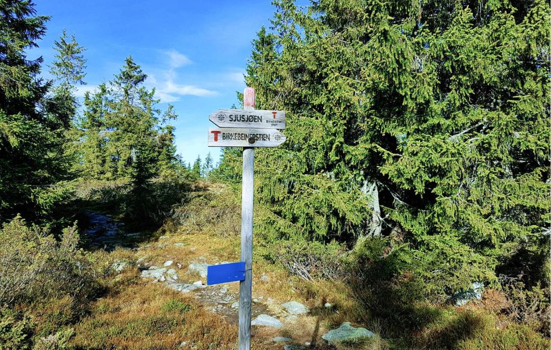 Photo of Others in Sjusjoen