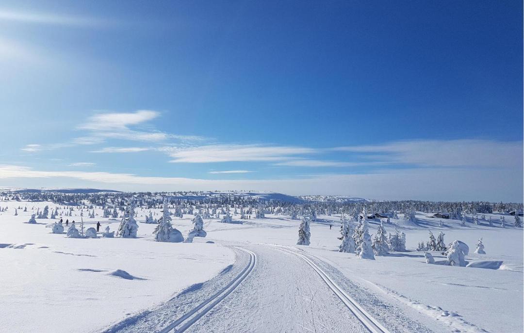 Photo of Others in Sjusjoen