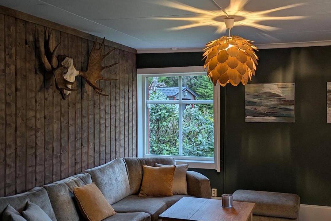 Photo of Livingroom in Vittangi