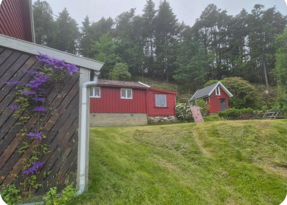 Photo of Others in Haugesund