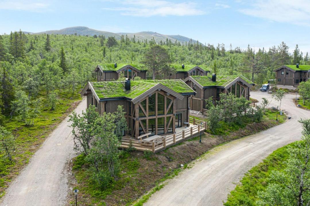Photo of Others in Lofsdalen