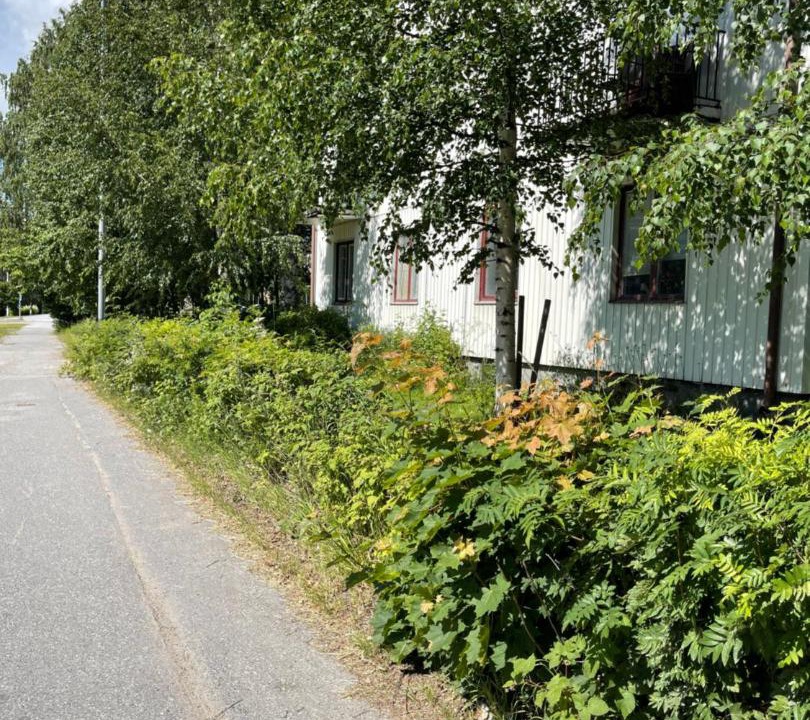 Photo of Others in Skelleftea