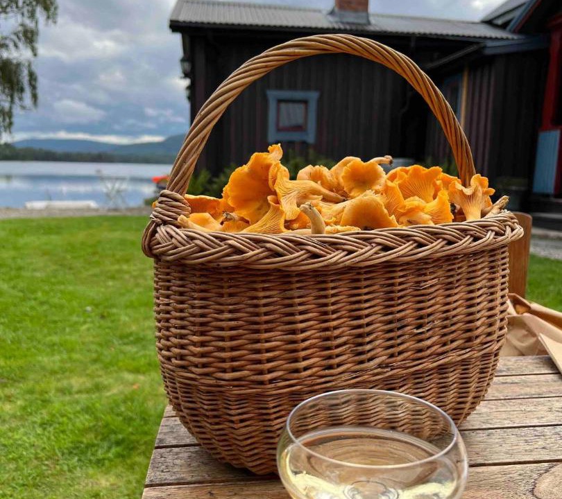 Photo of Others in Nasviken