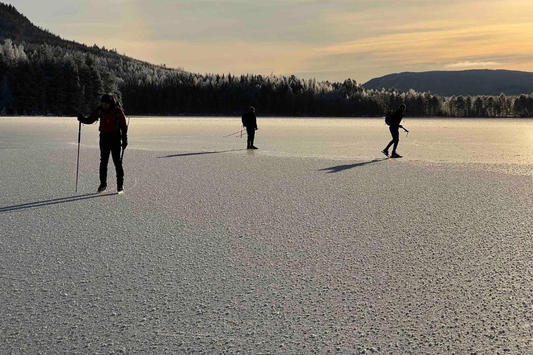 Photo of Others in Nasviken