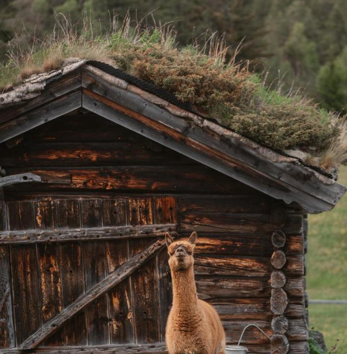 Photo of Others in Vaga