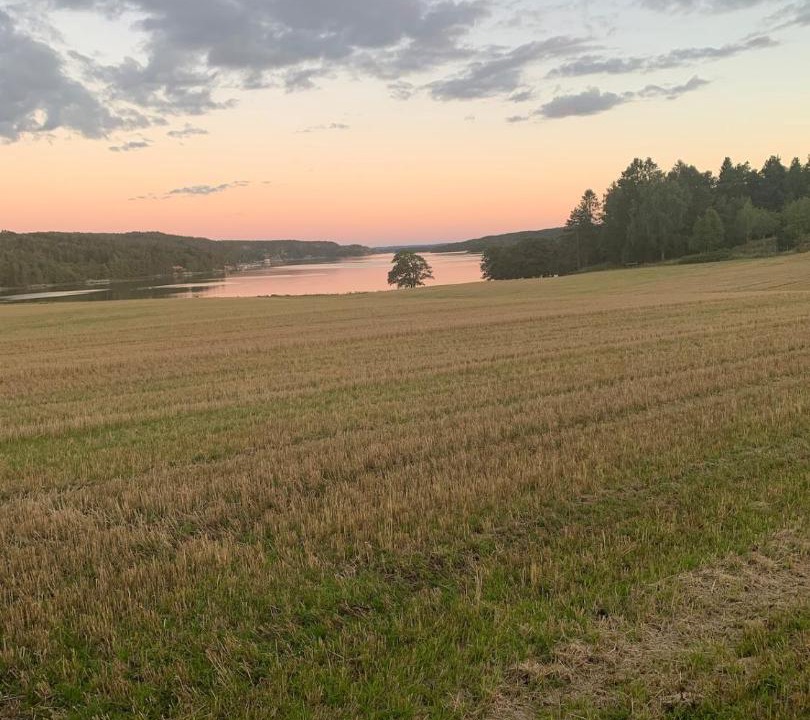 Photo of Others in Sarpsborg