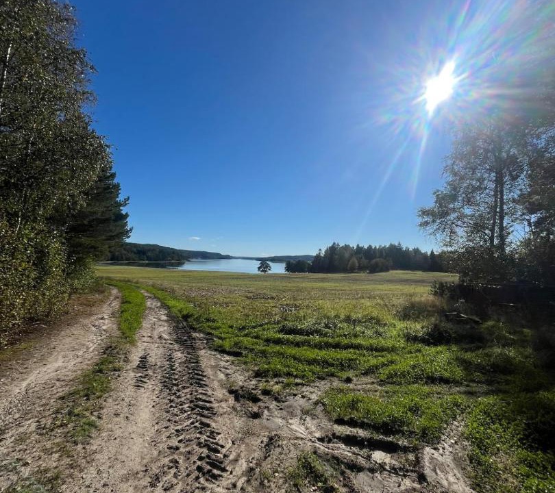 Photo of Others in Sarpsborg