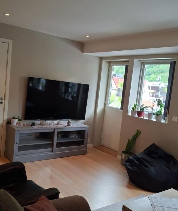 Photo of Livingroom in Stryn