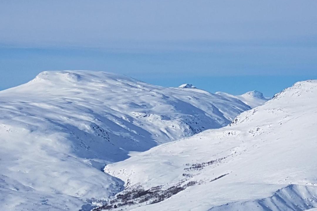 Photo of Others in Skjaak