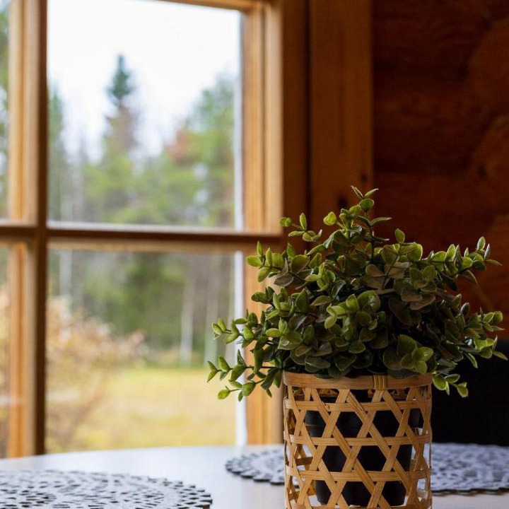 Photo of Others in Kuusamo