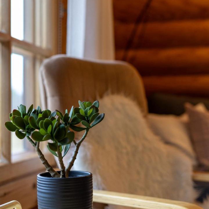 Photo of Others in Kuusamo