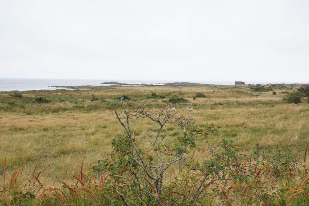 Photo of Others in Falkenberg