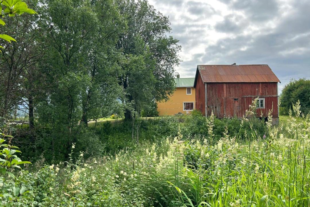 Photo of Others in Salangen