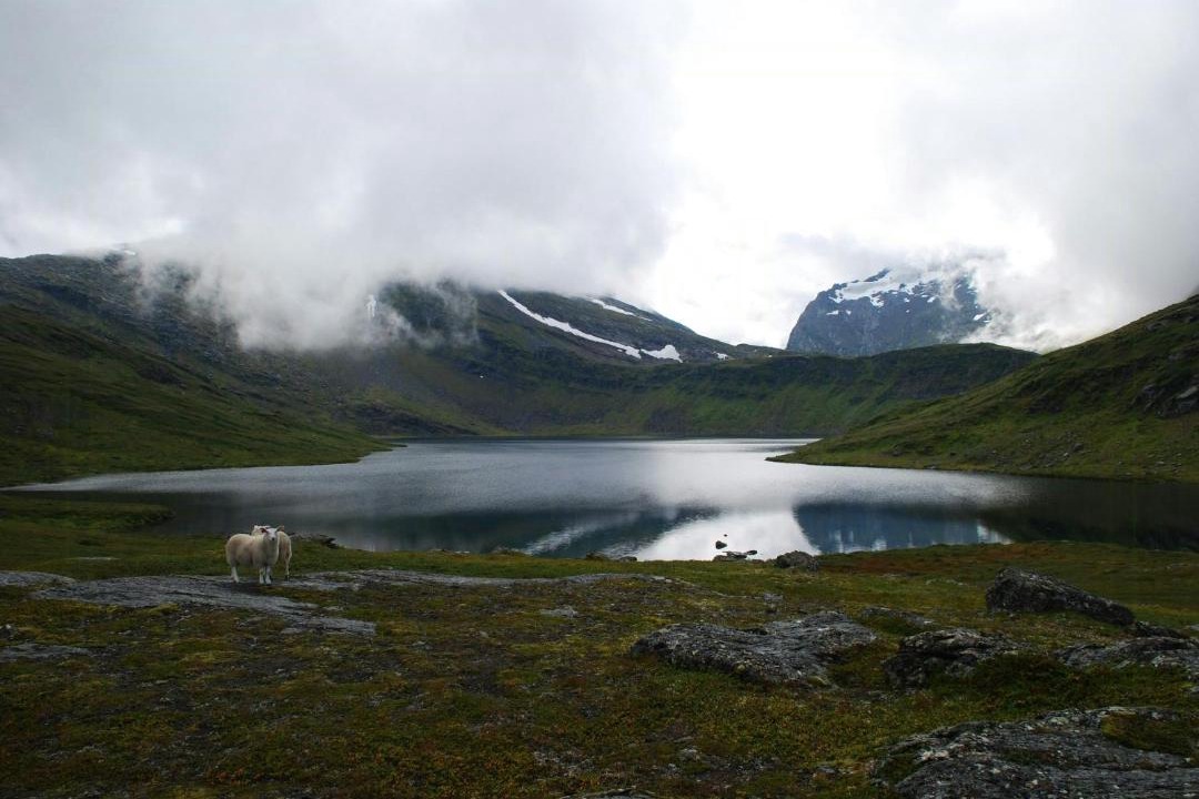 Photo of Others in Salangen