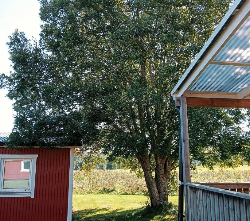 Photo of Others in Degerfors