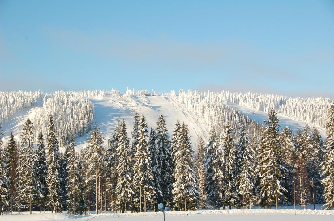 Photo of Others in Tahkovuori