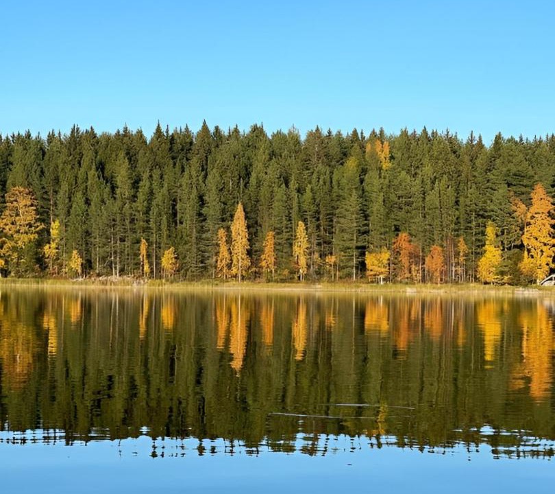 Photo of Others in Koli National Park