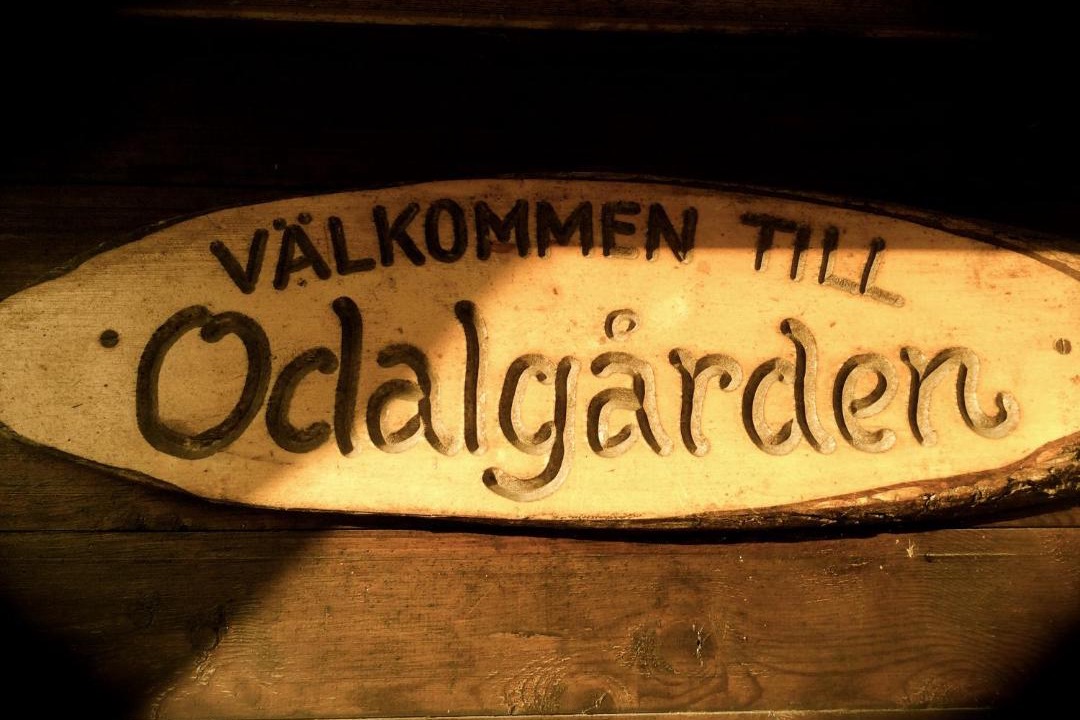 Photo of Others in Uppsala O