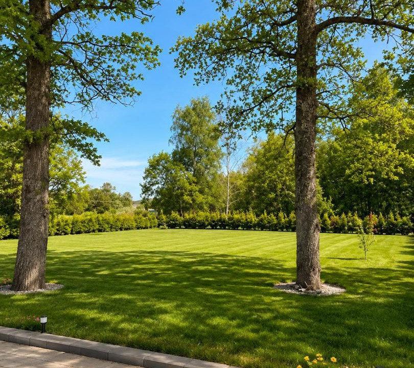 Photo of Outdoor in Finja