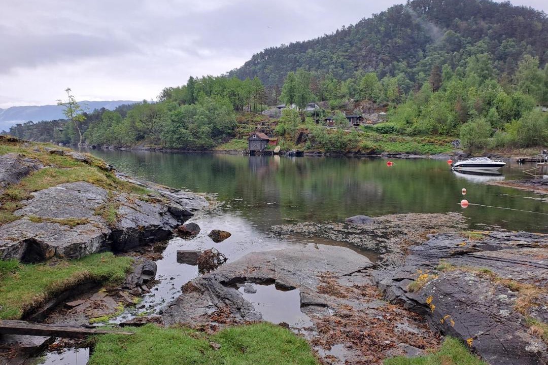Photo of Others in Vindafjord
