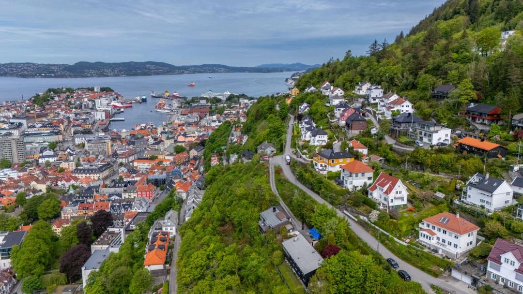 Photo of Others in Bergen City Centre