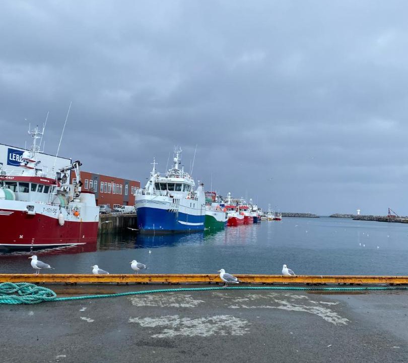 Photo of Others in Berlevag