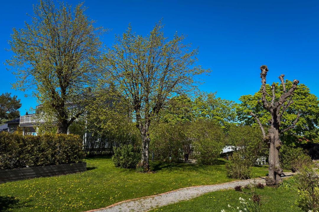 Photo of Others in Hanko