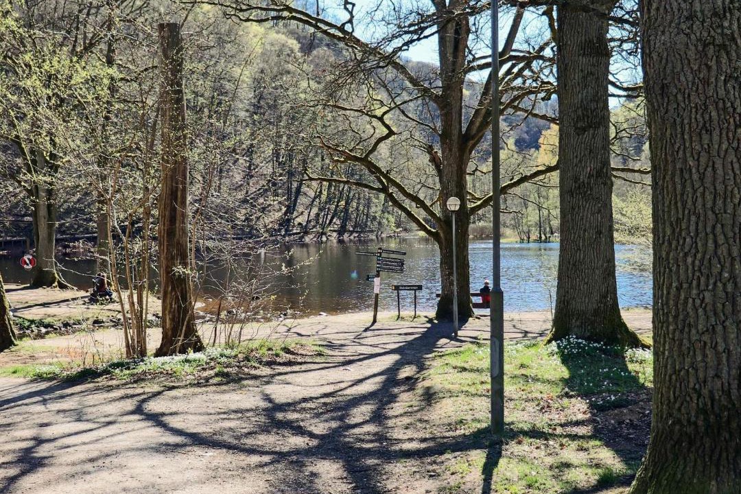Photo of Others in Ljungbyhed