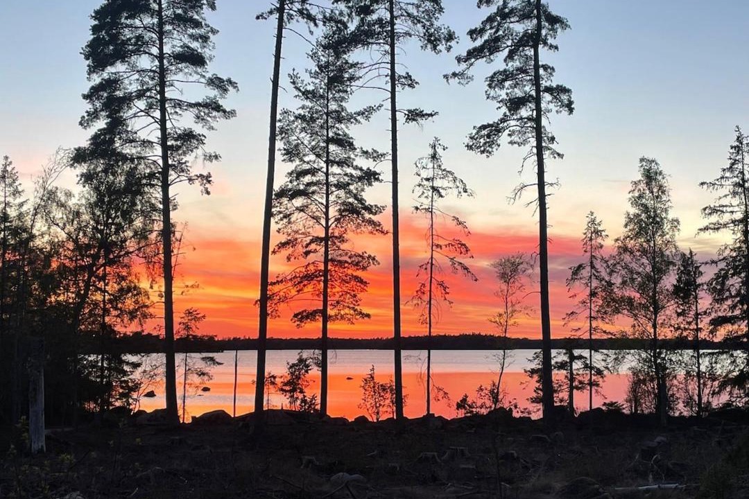 Photo of Others in Vieboda