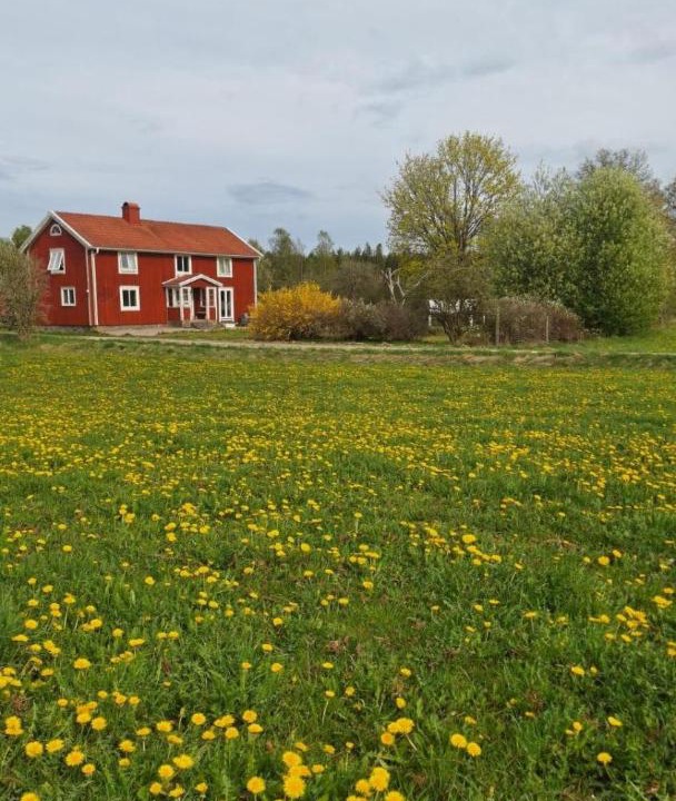 Photo of Others in Vieboda