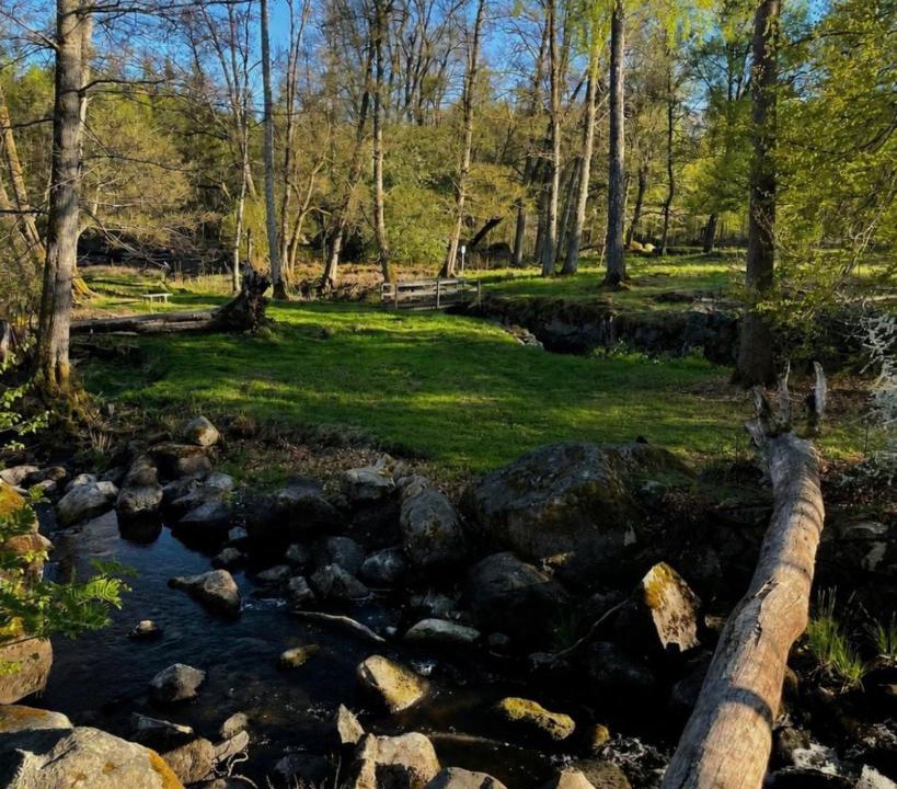 Photo of Others in Vieboda