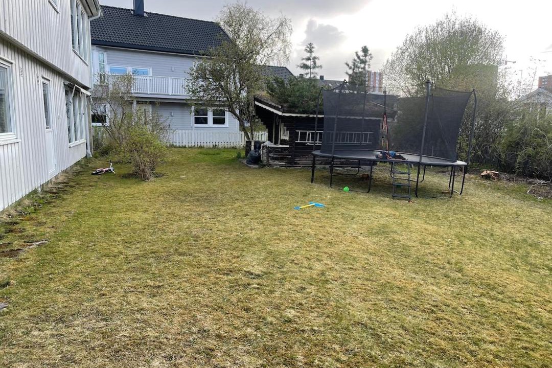 Photo of Others in Trondheim