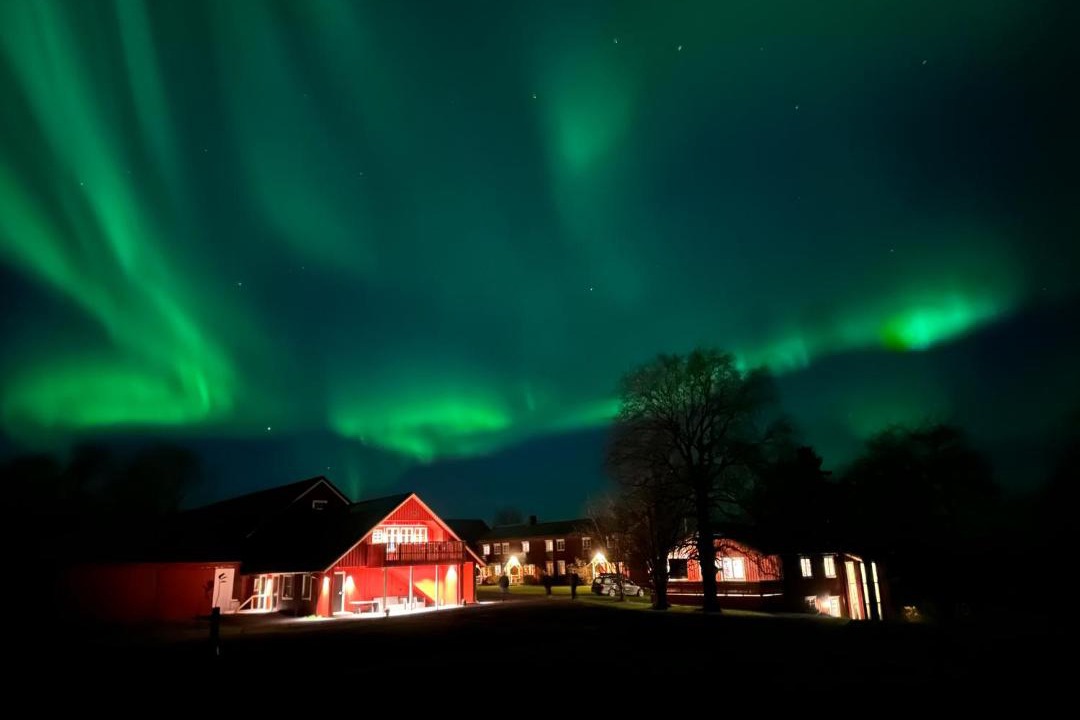 Photo of Others in Steinkjer