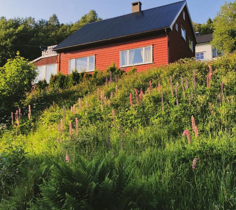 Photo of Others in Stordal
