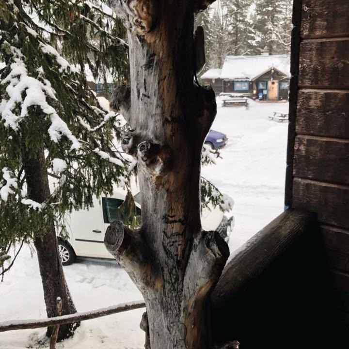 Photo of Others in Stoten