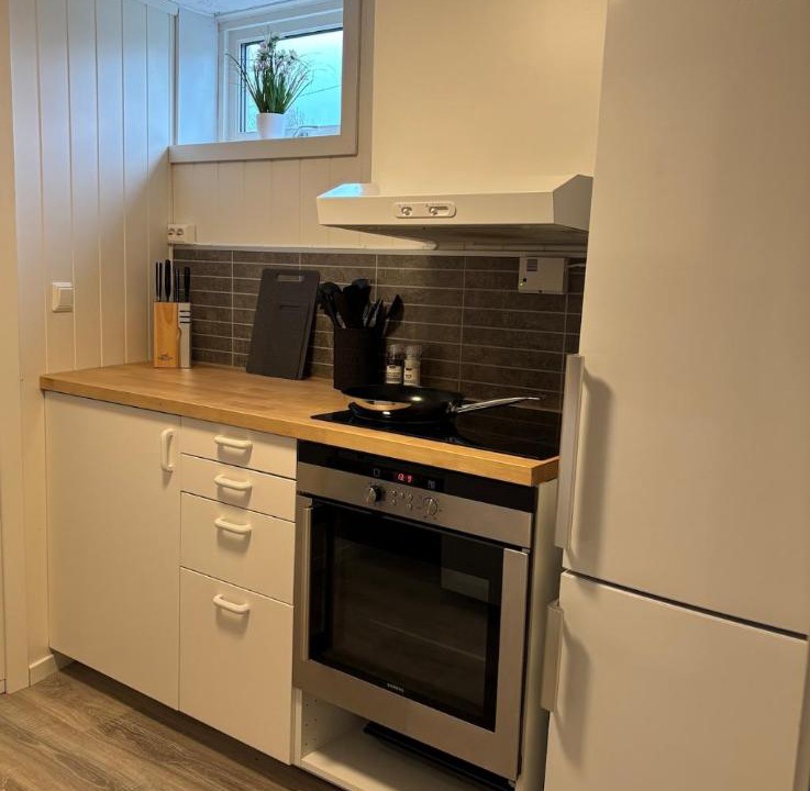 Photo of Kitchen in Ringerike