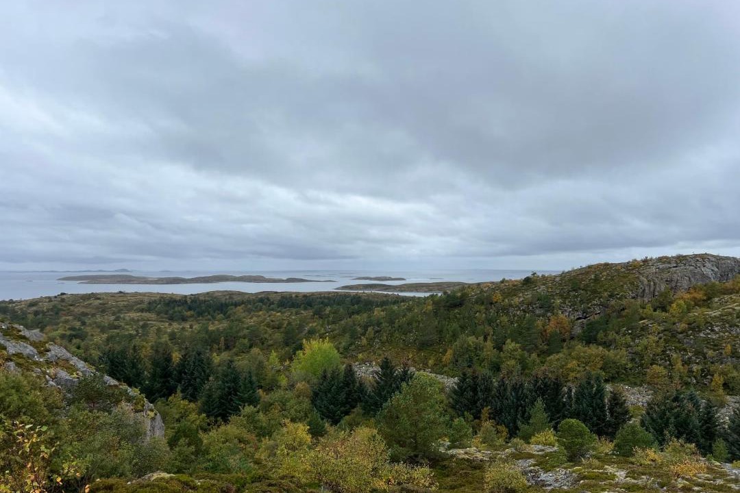 Photo of Others in Afjord