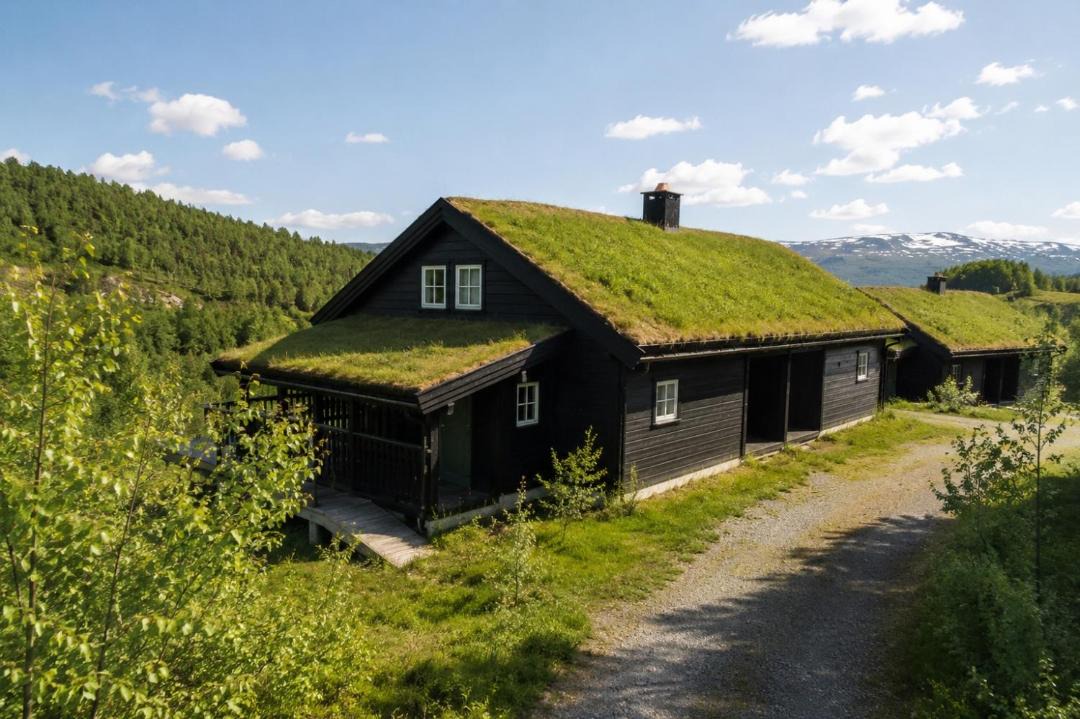 Photo of Others in Fidjeland