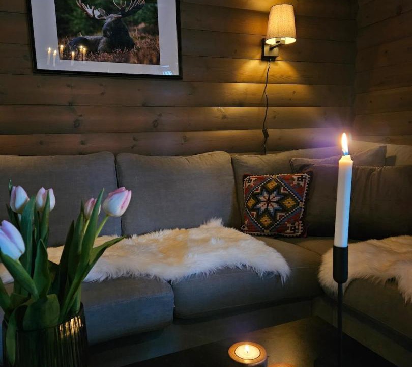 Photo of Livingroom in Dølemo