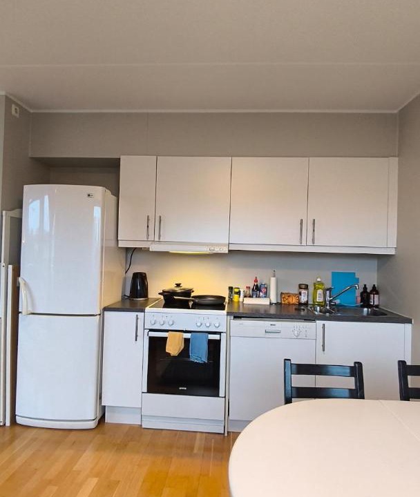Photo of Kitchen in Oslo City Centre