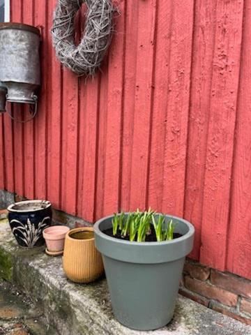 Photo of Others in Songdalen