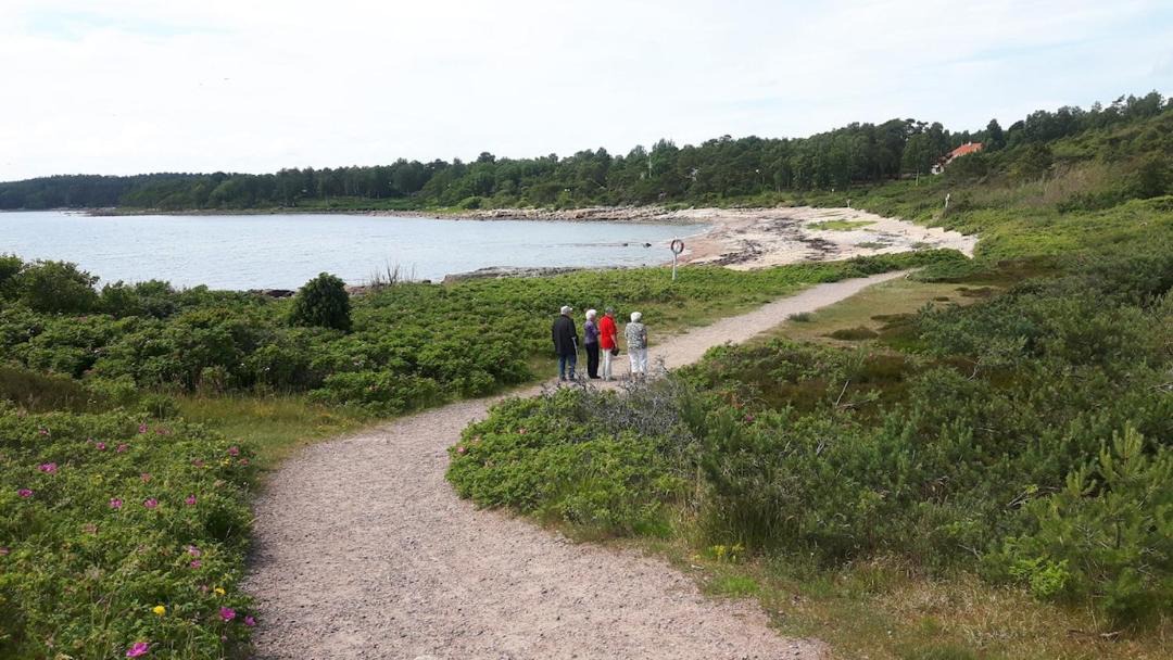 Photo of Others in Halmstad
