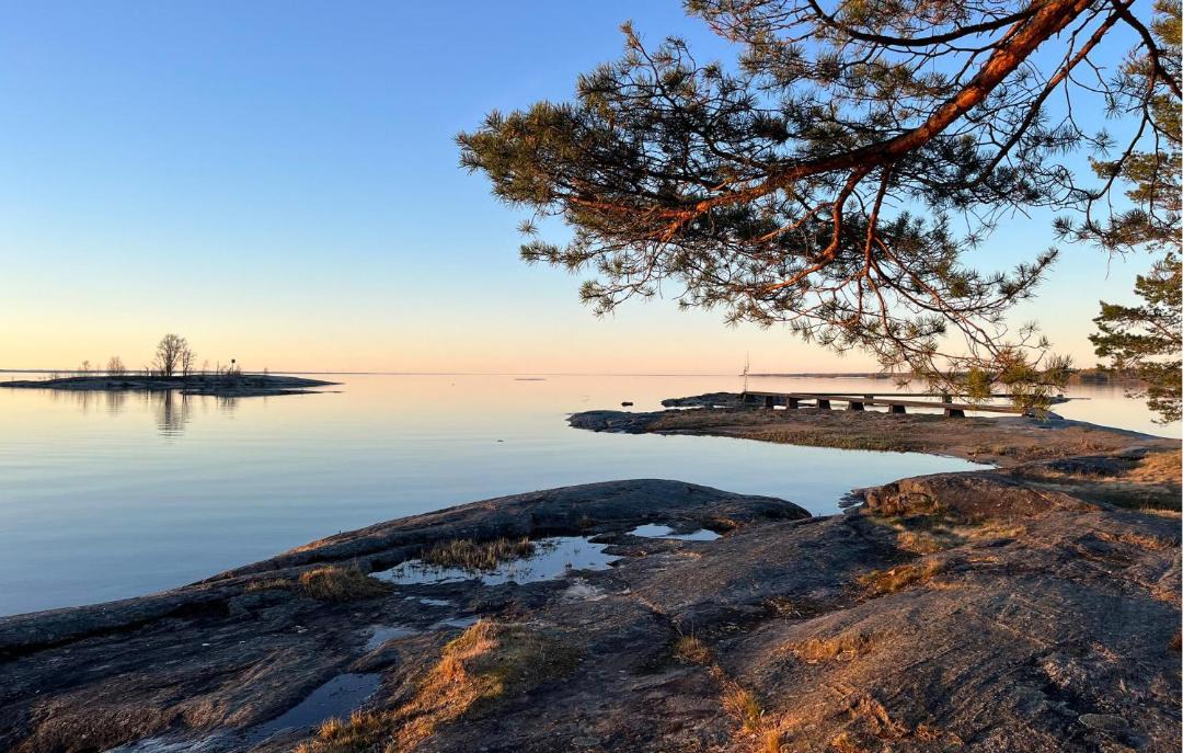 Photo of Others in Vargon