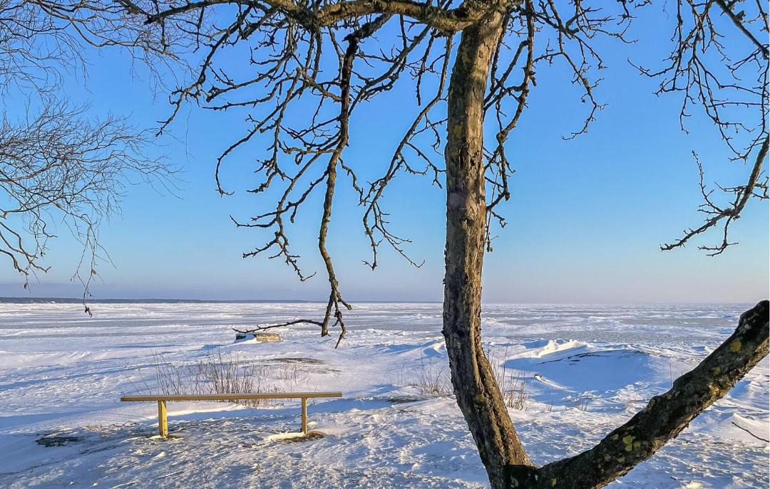 Photo of Others in Vargon